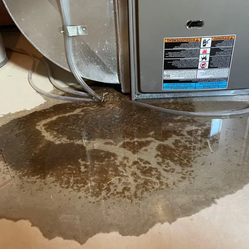 Pipe Burst and Leak Restoration in Gooding County, ID