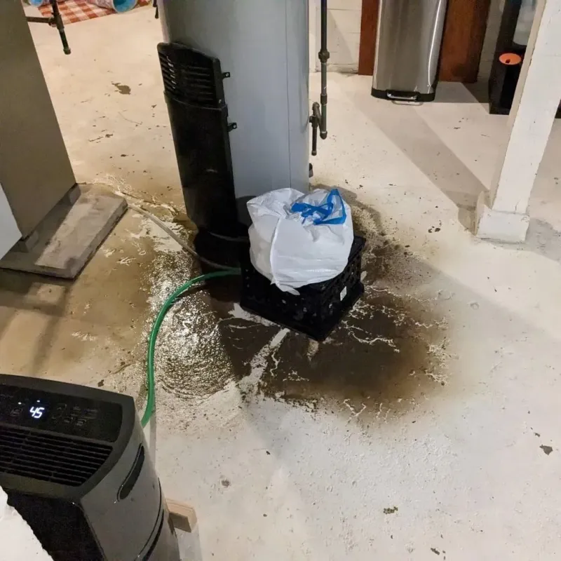 Sewage Backup Cleanup Service in Gooding County, ID
